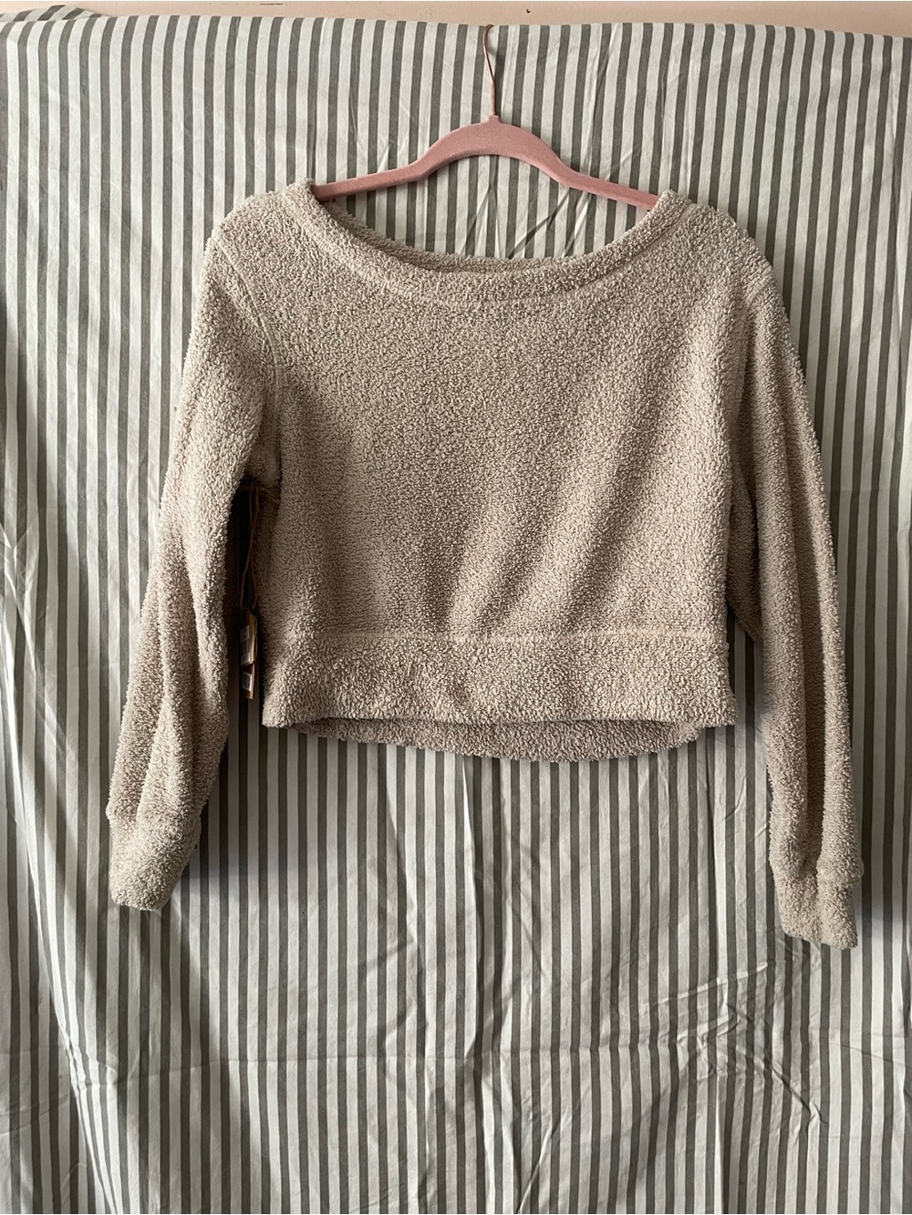Sincerly Jules Plush Cropped Crew Sweater in Light Taupe
